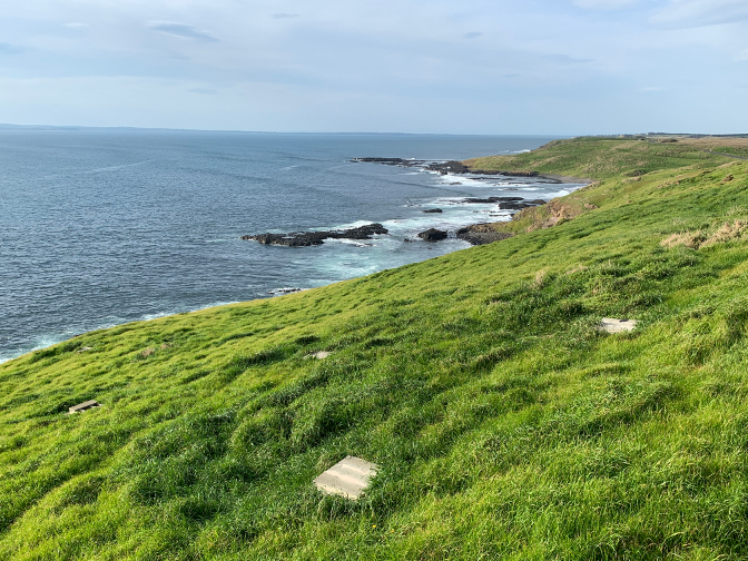 Penguin nesting boxes, the Nobbies, Phillip Island