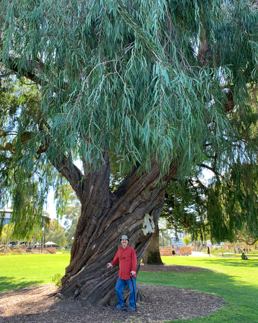 Western Australian Botanic Garden