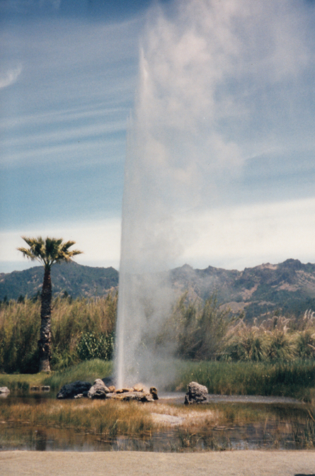 Old Faithful of California