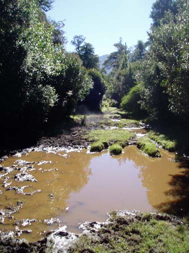 Muddy trail