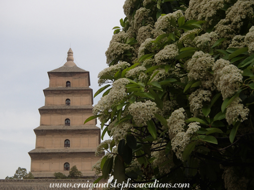 Wild Goose Pagoda