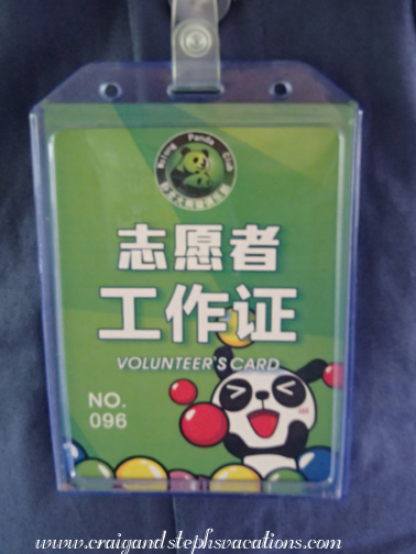 Adorable panda volunteer badge