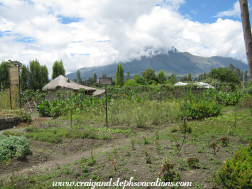 ethnobotanical nursery