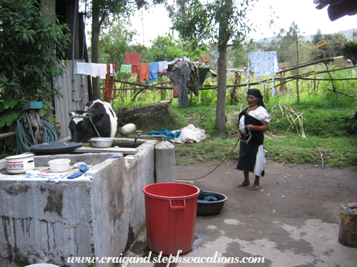 Antonio's mother waters the cow at the sink