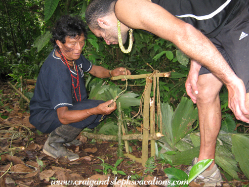 Setting jungle traps