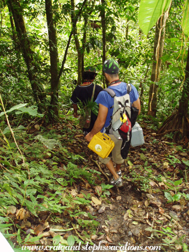 Jungle hike