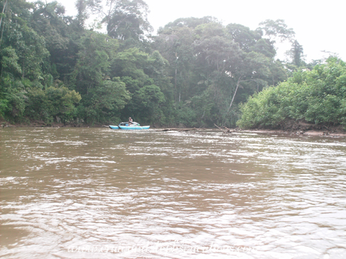 Felipe on the Shiripuno River