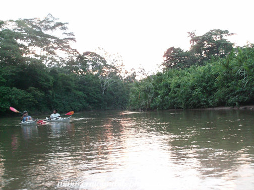 Sunset on the Shiripuno