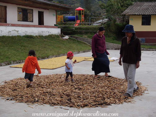 Marching on the drying beans