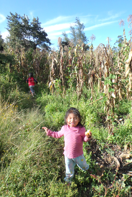 Yupanqui and Mi nena in the cornfield