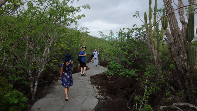 Boardwalk near the Interpretation Center