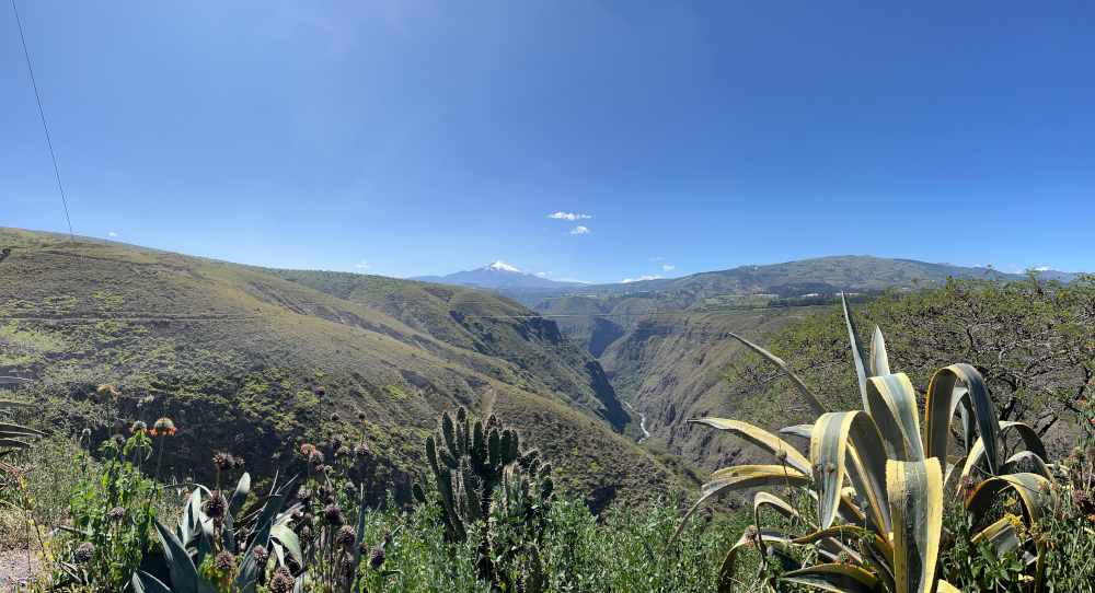 View from Mirador El Pisque