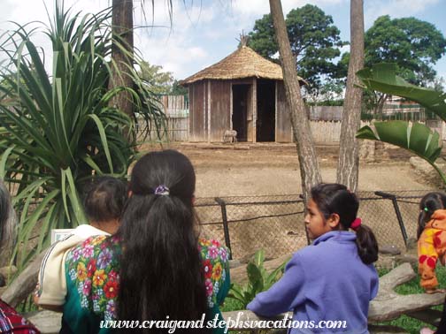 Looking at the giraffe enclosure