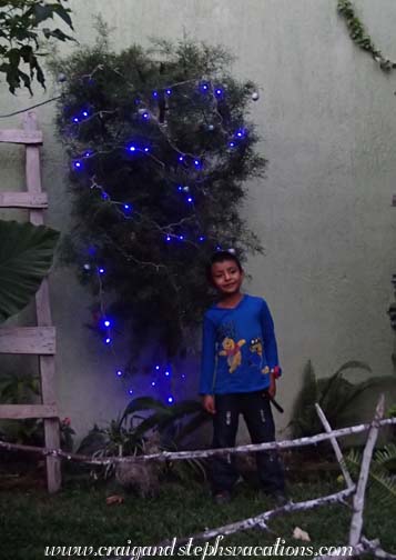 Eddy in front of the Christmas tree