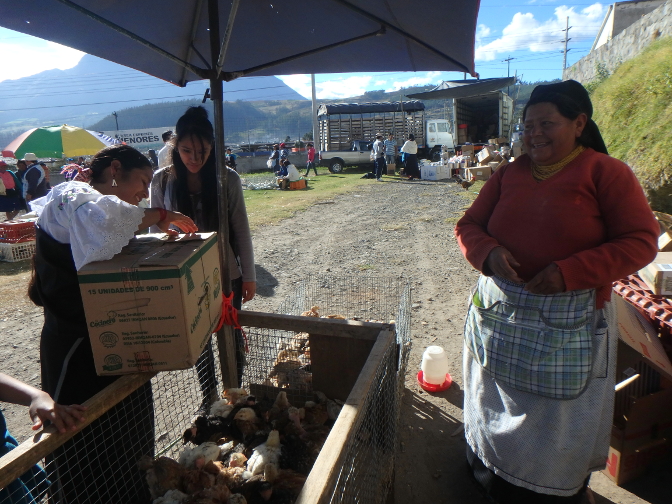 Rosa and Vanesa buying baby chicks at the Otavalo Animal Market