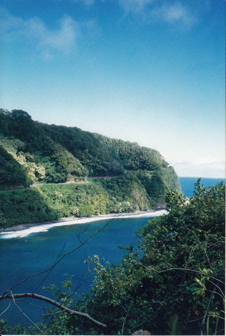 The Road to Hana