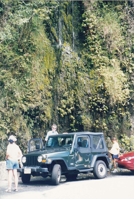 The Road to Hana