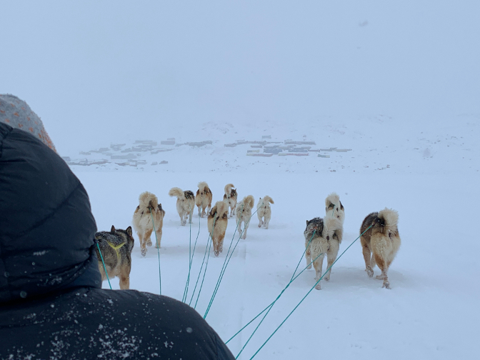 Approaching Tasiilaq by dogsled in the snow