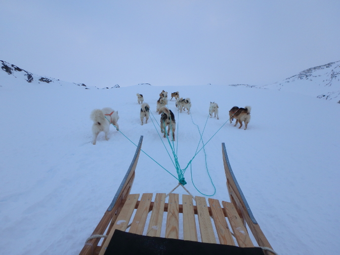 Dogsledding up a steep hill