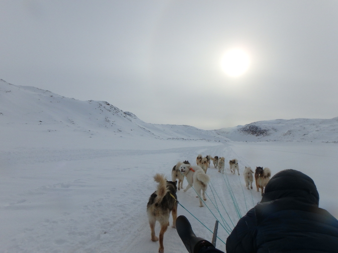 Dogsledding from Tinit to Pitserpaajik Peninsula