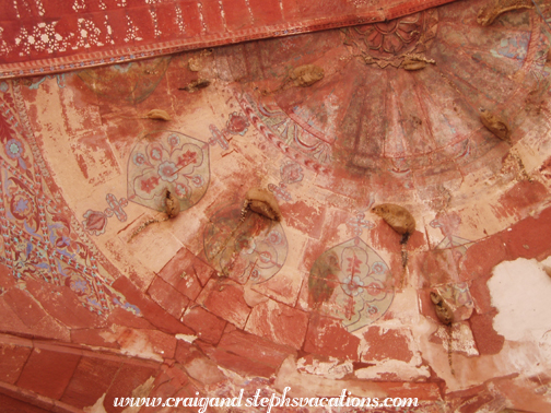 Painted ceiling, Jama Masjid mosque