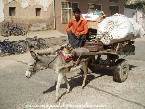 Donkey cart, Fatehpur