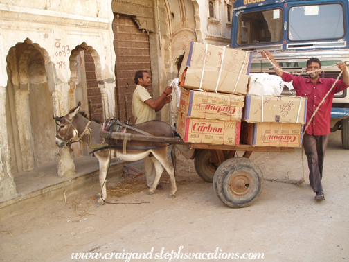 Donkey cart, Fatehpur