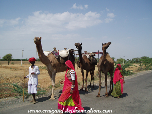 Roadside people with camels