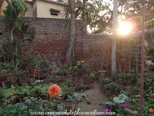 Sunrise over Mukul's garden