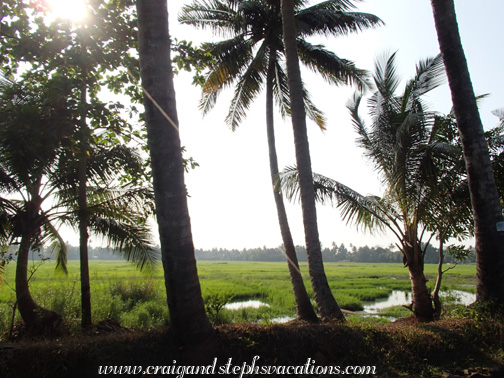 Exploring backwater canals in a motorized canoe