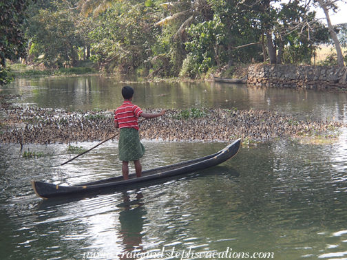 Little boy shepherding ducklings