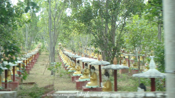 Maha Bodhi Tataung, 1000 Bodhi trees, 1000 Buddhas forest