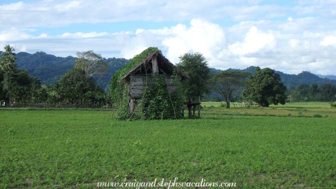 Crops, Shwe Lat Pan Village