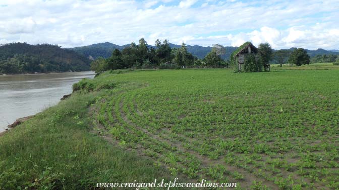 Crops, Shwe Lat Pan Village