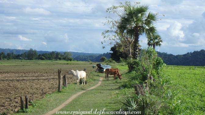 Shwe Lat Pan Village