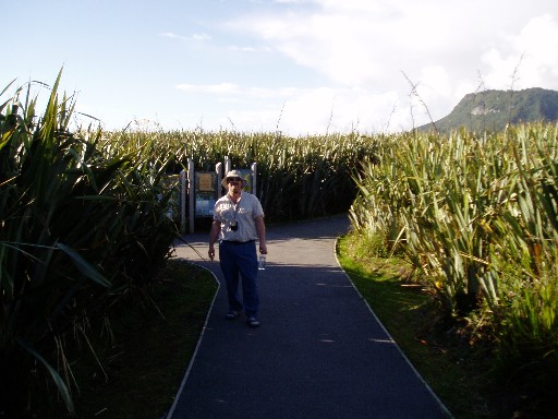 Craig amongst the flax at Punakaiki