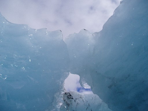 Fox Glacier