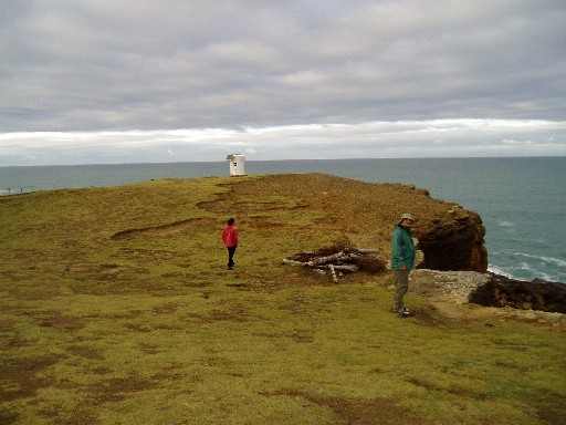 Slope Point, the southernmost point of NZ's South Island