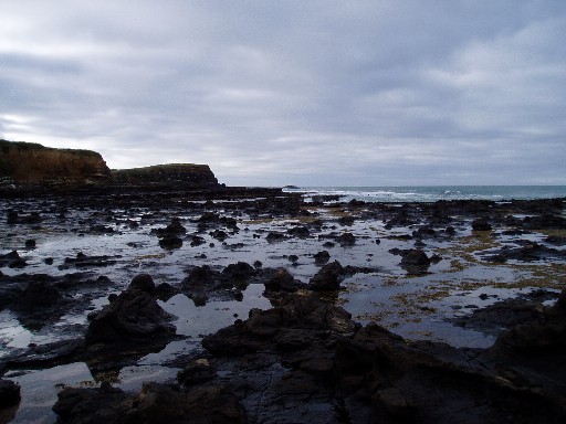 Petrified Forest