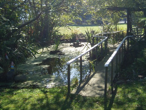 Pond at Alpaca House