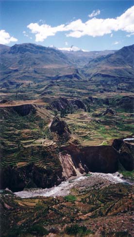 Colca Valley