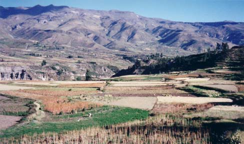 Looking down on potato farmers from Uyo Uyo ruins