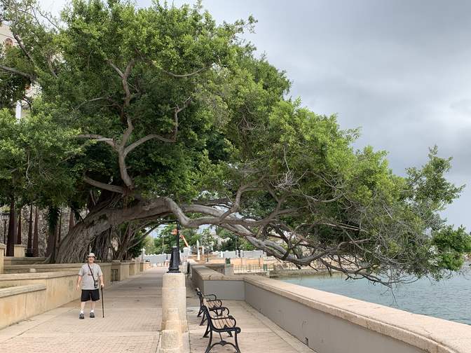 Walking along Paseo de la Princesa