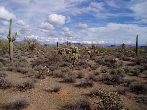 Scenery on trail ride