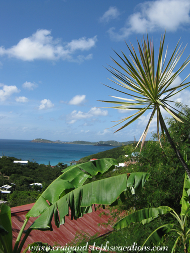 View from Marty's place