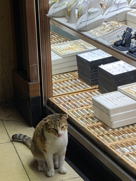 #Kedi, Grand Bazaar