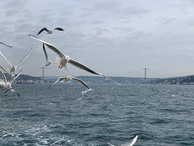 Crossing the Bosphorus by ferry