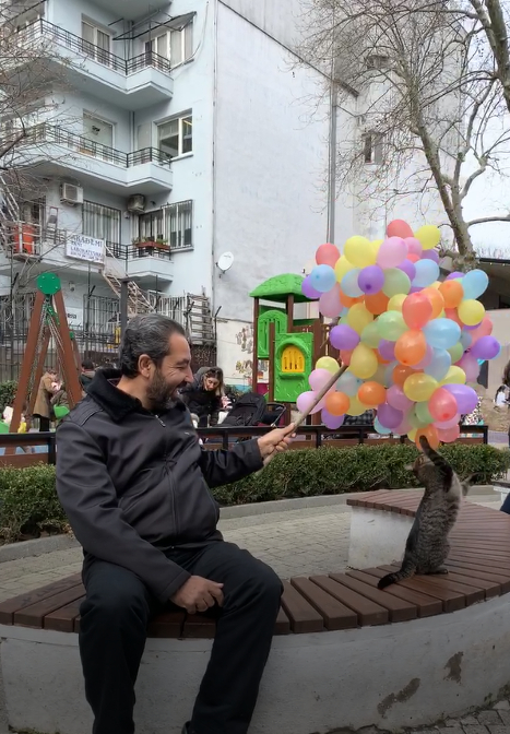 Kedi and balloon vendor Mistik Park