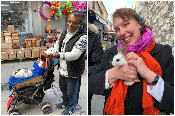 Fortune telling rabbits in the Izmir market