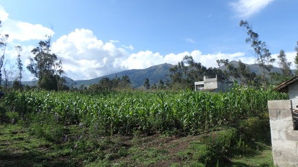 P1130429
